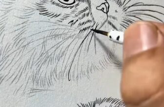 [???] Trạm Vẽ painting – Sunny art ? Top1Designs ✨  Cách hoạ sĩ vẽ tranh chân dung bằng chì màu
, shares-0✔️ , likes-43❤️️ , date-2025-01-05 02:16:06????????