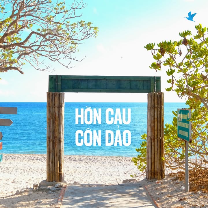 [✈🇻🇳] Traveloka Vietnam – Sống Trải Nghiệm ✈ Top1Travel 🌏 – Hòn Cau – Côn Đảo, nơi chữa lành đích thực, vắng vẻ, yên bình 🍃🍃🛵 M …
