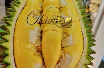 [🆕🇻🇳] Khả Hân Fresh Fruit – Sầu Riêng 6 Hữu 🍔 Top1Food  🍜 SẦU RIÊNG 6 HỮU – ĐỆ NHẤT SẦU RIÊNG VIỆT NAM  – hôm nay nhà Hân lên lô mới có chín ngon với chất cơm béo dẻo như phô mai  ăn một lần là sẽ không quên được  , shares-0✔️ , likes-1❤️️ , date-2025-01-06 21:23:49🇻🇳🇻🇳🇻🇳📰🆕