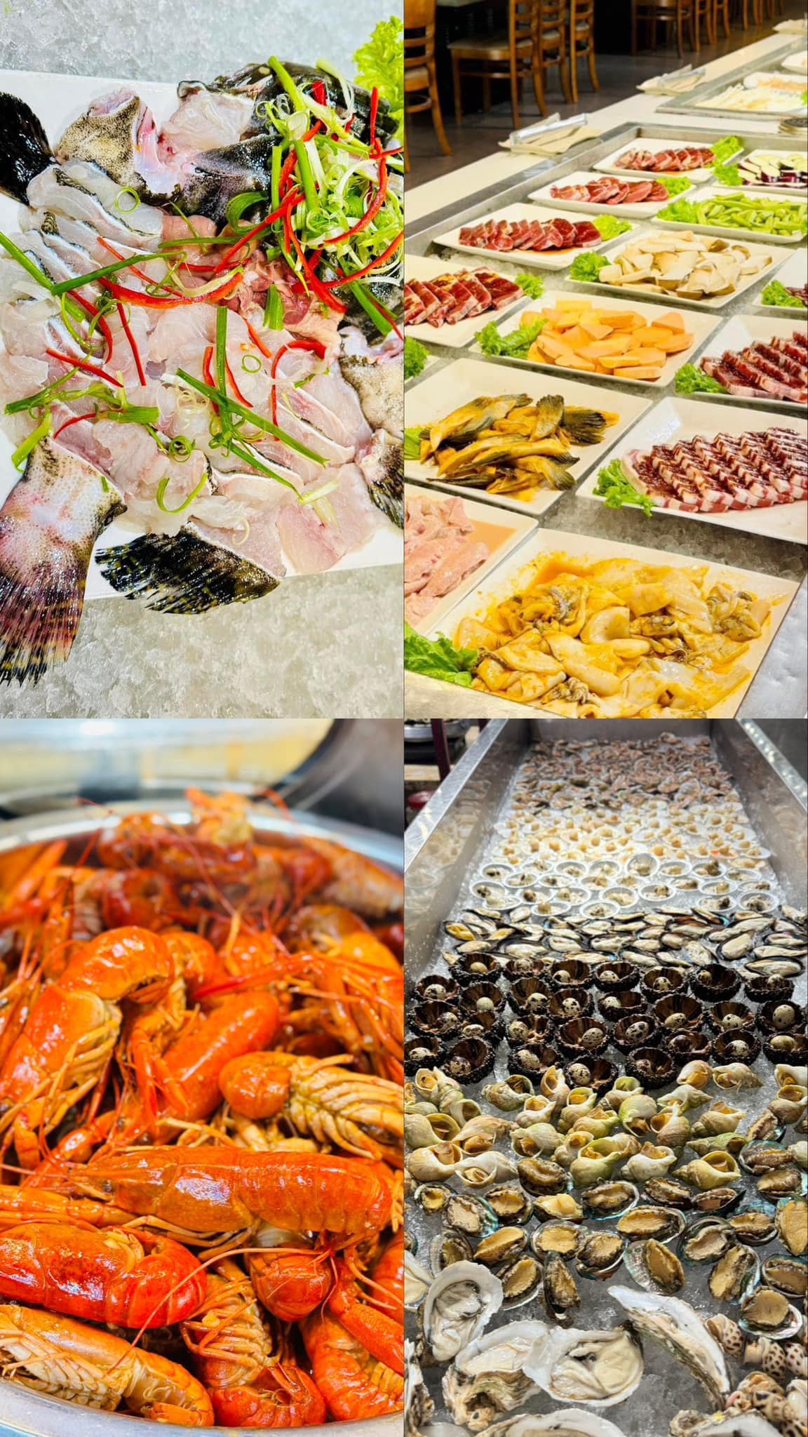 [🆕🇻🇳] Yoon Studio – Cửa hàng quần áo 👕 Top1Fashion 👗  Mẫu quần short năng động lại không kém phần cá tính, giúp nàng F5 với diện mạo ấn tượng chào đón năm mới!Leather Short với chất liệu da mềm mại dành cho  , shares-0✔️ , likes-0❤️️ , date-2025-01-12 22:21:21🇻🇳🇻🇳🇻🇳📰🆕