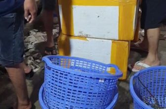 [🆕🇻🇳] Tôm Hùm Việt – Chuyên cung cấp sỉ tôm hùm cho các vựa, nhà hàng khách sạn 🍔 Top1Food  🍜  Tôm hùm bông & hùm xanh sống khỏe thả hồ
Full size , đủ loại , giá cả cạnh tranh tại bè
Gửi bay toàn quốc , ship hỏa tốc nội thành HCM
Khách cần nhắn e , shares-0✔️ , likes-4❤️️ , date-2025-01-10 14:53:23🇻🇳🇻🇳🇻🇳📰🆕