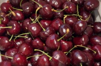 [🆕🇻🇳] Trái Cây Nhập Khẩu Tuy Hoà-Phú An Food 🍔 Top1Food  🍜  , shares-0✔️ , likes-1❤️️ , date-2025-01-09 16:30:46🇻🇳🇻🇳🇻🇳📰🆕