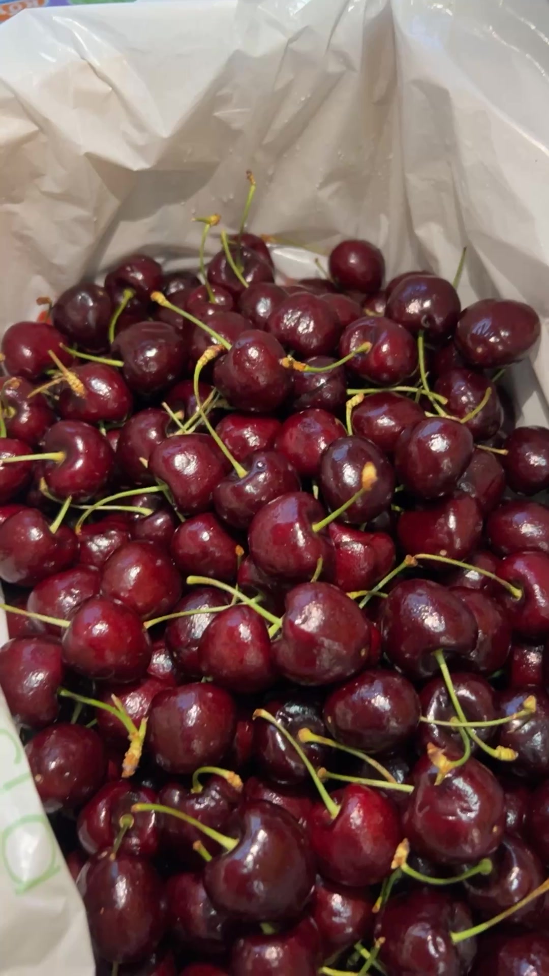 [🆕🇻🇳] An An – Thời Trang Trẻ Em – AN AN KIDS 🧑‍🧒❤️️👶⭐️ Áo thun qc cho bé gái e mới về hàng..hàng qc lên from bao chuẩn
Size: 16_30kg
Miễn ship từ 6b..Bao kiểm tra hàng..Phí ship đồng giá 25k
Sẵn hàng tại sho , shares-1✔️ , likes-0❤️️ , date-2025-01-09 16:34:23🇻🇳🇻🇳🇻🇳📰🆕