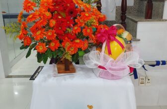 [???] Yoga Sức Khỏe Vàng – Golden Health ? Top1Yoga ??‍♀️  KHAI GIẢNG KHÓA HỌC CUỐI NĂM TÌNH THƯƠNG MẾN THƯƠNG. Khóa HLV 20.
Cảm ơn trò yêu khóa 19 đã đến tặng bánh hổ trợ tinh thần mong các trò cố gắng chăm học đ , shares-0✔️ , likes-3❤️️ , date-2025-01-06 20:08:23????????