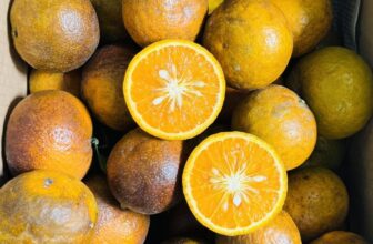 [🆕🇻🇳] Nhà AnAn – chuyên cung cấp rau củ quả hữu cơ, sạch, rõ nguồn gốc từ Đà Lạt 🍔 Top1Food  🍜 Cam sành canh tác chuyển đổi HC.
Cứng trái, da nám
Vị ngọt đậm, chua tầm 2 phần
Nước cam màu đậm , ngon ạ
, shares-0✔️ , likes-0❤️️ , date-2025-01-07 20:51:35🇻🇳🇻🇳🇻🇳📰🆕