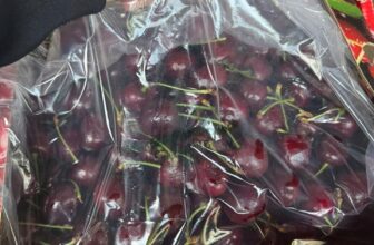 [🆕🇻🇳] Chio shop – Cửa hàng rau quả 🍔 Top1Food  🍜 Cherry Chile cứng ngắt luôn ạ, giá siêu siêu tốt!
– Tươi rói luôn cả nhà ơisize 26-28 1J mà giá rẻ má ơi luôn– Giòn rụm, ngọt ngon600k/xách 2.5kg
, shares-0✔️ , likes-1❤️️ , date-2025-01-04 16:16:26🇻🇳🇻🇳🇻🇳📰🆕