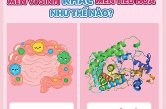 [🆕🇻🇳]  Tâm Nhung Baby – HỆ THỐNG MẸ BẦU VÀ EM BÉ TOP 1 THÁI BÌNH 🧑‍🧒❤️️👶⭐️  , shares-0✔️ , likes-2❤️️ , date-2025-01-07 01:00:12🇻🇳🇻🇳🇻🇳📰🆕