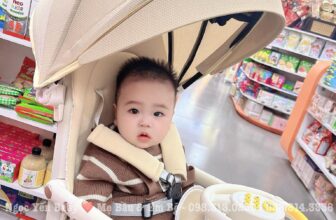 [🆕🇻🇳] Ngọc Yến Baby – Mẹ Bầu Và Em Bé – ĐỒ SƠ SINH_ĐỒ DÙNG MẸ & BÉ 🧑‍🧒❤️️👶⭐️ Xe đẩy du lịch gấp gọn Honper HP825
– Gấp gọn tiện lợi, có đệm lót tháo rời, dễ dàng vệ sinh
– Đai an toàn chắc chắn, hỗ trợ giảm xóc, phanh kép an toàn, c , shares-0✔️ , likes-1❤️️ , date-2025-01-10 16:37:23🇻🇳🇻🇳🇻🇳📰🆕