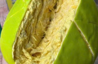 [🆕🇻🇳] Bánh Mì Phô Mai Giá Sĩ 🍔 Top1Food  🍜  𝐌𝐔𝐀 𝐋Ẻ 𝐕Ớ𝐈 𝐆𝐈Á 𝐒Ĩ 𝐂𝐑𝐄𝐏𝐄 𝐒Ầ𝐔 𝐀𝐔𝐓𝐇 𝐍𝐇𝐈Ề𝐔 𝐒Ầ𝐔 𝐂𝐇Ỉ #100𝐊 𝐯à 𝐦𝐞𝐧𝐮 𝐡ơ𝐧 𝟑𝟎 𝐥𝐨ạ𝐢 𝐛á𝐧𝐡
𝘾𝙤𝙢𝙗𝙤 #150k :
– 𝘾𝙧𝙚𝙥𝙚 𝙨ầ𝙪 𝙧𝙞ê𝙣𝙜 𝙖𝙪𝙩𝙝 ổ 14𝙘𝙢
, shares-0✔️ , likes-0❤️️ , date-2025-01-08 04:33:51🇻🇳🇻🇳🇻🇳📰🆕