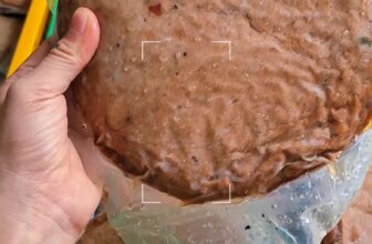 [🆕🇻🇳] Chả Cá Nha Trang – Kho sỉ Chuyên cung cấp sỉ và lẻ 🍔 Top1Food  🍜 Chả ngon giá tốt
Chả bao dai, chắc thịt,
Hàng có quanh năm, không hụt hàng
Khách cần số lượng lớn ib e ạ
Hl 0393612615
, shares-0✔️ , likes-1❤️️ , date-2025-01-07 17:25:30🇻🇳🇻🇳🇻🇳📰🆕