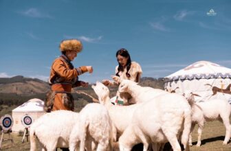 [🆕🇻🇳] 2H Studio – Chụp Ảnh Cưới Đẹp 🤵🏻 Top1Wedding 👰🏻  𝟐𝐇 𝐒𝐓𝐔𝐃𝐈𝐎 𝐱 𝐃𝐀 𝐋𝐀𝐓
𝑀𝑜𝑛𝑔𝑜 𝐿𝑎𝑛𝑑Có những cảm xúc, có những khoảnh khắc, có những niềm hạnh phúc chỉ diễn ra một lần trong đời mà bạn luôn muốn lưu giữ, với , shares-0✔️ , likes-48❤️️ , date-2025-01-19 06:07:24🇻🇳🇻🇳🇻🇳📰🆕