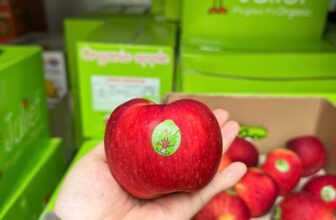 [🆕🇻🇳] Chio shop – Cửa hàng rau quả 🍔 Top1Food  🍜 Táo Organic Juliet siêu đẹp ạh !Giòn rụm, ngọt lịm, rất thơm130k/kg
Thùng 10kg/1.200k
, shares-0✔️ , likes-0❤️️ , date-2025-01-10 19:56:30🇻🇳🇻🇳🇻🇳📰🆕