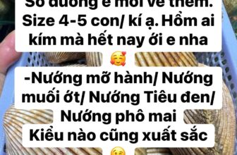 [🆕🇻🇳] Ốc Kênh Tẻ – Chuyên phục vụ các loại nghêu, sò, ốc tươi ngon các loại 🍔 Top1Food  🍜 Ngày chủ nhật đầu tiên của năm 2025 vui vẻ ạ
, shares-0✔️ , likes-3❤️️ , date-2025-01-05 17:01:37🇻🇳🇻🇳🇻🇳📰🆕