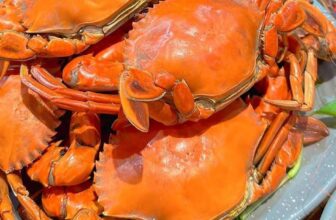 [🆕🇻🇳] Buffet ĐÀ LẠT Lẩu – Nướng Hải Sản 179 Chi Nhánh Quận 2 🍔 Top1Food  🍜 𝗖𝗵𝗶̉ 𝟭8𝟵𝗞/ 𝗻𝗴𝘂̛𝗼̛̀𝗶 – 𝗔̆𝗻 𝗸𝗵𝗼̂𝗻𝗴 𝗴𝗶𝗼̛́𝗶 𝗵𝗮̣𝗻 𝗕𝘂𝗳𝗳𝗲𝘁 𝗛𝗮̉𝗶 𝗦𝗮̉𝗻 𝗧𝘂̛𝗼̛𝗶 𝗦𝗼̂́𝗻𝗴 𝘃𝗼̛́𝗶 𝘁𝗵𝘂̛̣𝗰 đ𝗼̛𝗻 𝘁𝗿𝗲̂𝗻 6𝟬 𝗺𝗼́𝗻
𝑮𝒊𝒂́ 𝒗𝒆́ 𝒕𝒉𝒖̛́ 2-6: 189𝑲/ 𝒏𝒈𝒖̛𝒐̛̀𝒊
𝑮𝒊𝒂́ 𝒗𝒆́ 𝒕 , shares-0✔️ , likes-0❤️️ , date-2025-01-10 20:50:51🇻🇳🇻🇳🇻🇳📰🆕