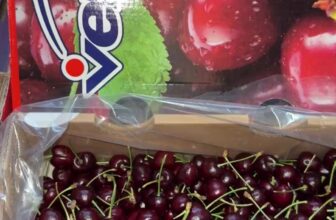 [🆕🇻🇳] Trái Cây Nhập Khẩu Tuy Hoà-Phú An Food 🍔 Top1Food  🍜 Siêu phẩm Cherry giá siêu sốc chỉ #150k/kg và loại Vip #250k/kg , Nhanh tay nhé khách ui
, shares-0✔️ , likes-0❤️️ , date-2025-01-12 16:03:32🇻🇳🇻🇳🇻🇳📰🆕