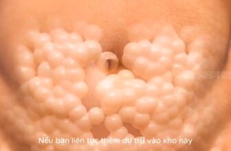 [🆕🇻🇳] Yoga Gò Vấp – Vì sức khỏe và sắc đẹp của bạn!  🧘 Top1Yoga 🤸🏻‍♀️ Quá trình đào thải mỡ của cơ thể.
Nhà mình xem để hiểu và biết cách giảm mỡ hiệu quả nhé.
#Yogagovap #Giammo #giamcan #yogacoban #yogagiamcan
, shares-0✔️ , likes-2❤️️ , date-2025-01-09 20:06:00🇻🇳🇻🇳🇻🇳📰🆕