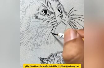 [???] Trạm Vẽ painting – Sunny art ? Top1Designs ✨  Bài vẽ tĩnh vật đơn giản bằng màu gouache
, shares-0✔️ , likes-57❤️️ , date-2025-01-11 04:00:41????????