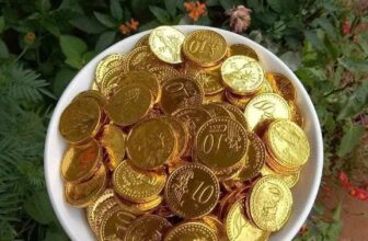 [🆕🇻🇳] Tổng Kho Ăn Vặt Miền Trung – chuyên các món ăn vặt thịnh hành nhất hiện nay 🍔 Top1Food  🍜 TRI ÂN SIÊU KHỦNG ĐÓN TẾT 2025
FREESHIP ĐƠN TỪ 200K
MUA BÁNH KẸO TẾT CHỈ TỪ 30K
ĐƠN TỪ 300K FREESHIP VÀ CÓ GIẢM GIÁ
CÓ TRÊN 50 MÓN NÊN KHÁCH LỰA CHỌN THOẢI , shares-0✔️ , likes-2❤️️ , date-2025-01-12 17:53:31🇻🇳🇻🇳🇻🇳📰🆕