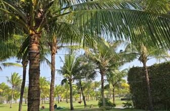 [🏝️🇻🇳] Celina Peninsula Resort Quang Binh  🏝️ Top1Resort 🏖️ Cập nhật thời tiết ngày 20/1/2025
, shares-0✔️ , likes-11❤️️ , date-2025-01-20 21:37:01🇻🇳🇻🇳🇻🇳📰🆕