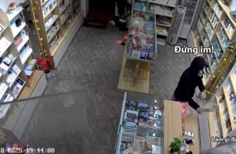 [🆕🇻🇳] Mixue Sầm Sơn – Kem tươi, Trà sữa, Trà Hoa Quả 🍔 Top1Food  🍜  , shares-0✔️ , likes-4❤️️ , date-2025-01-19 18:53:35🇻🇳🇻🇳🇻🇳📰🆕