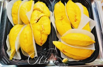 [🆕🇻🇳] Khả Hân Fresh Fruit – Sầu Riêng 6 Hữu 🍔 Top1Food  🍜 MUSANG KING – hôm nay nhà Hân có chín ngon , cơm ráo dẻo vàng ươm , thơm phức , ngọt lịm tim , béo ngậy , vị đặc trưng xuất sắc 10 điểmLưu ý: Tất cả sả , shares-0✔️ , likes-1❤️️ , date-2025-01-12 23:28:40🇻🇳🇻🇳🇻🇳📰🆕