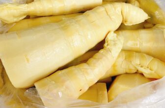 [🆕🇻🇳] CÀ MÈN – Đặc sản quê hương Quảng Trị 🍔 Top1Food 🍜 Trong 1 nhóm bạn thân, chắc chắn sẽ có đứa giỡn nhây và đứa hay chọc, đứa mê trà sữa và đứa mê bia, đứa ưa đi chơi và đứa chỉ thích ngủ, nhưng chắc chắn có , shares-0✔️ , likes-11❤️️ , date-2025-01-14 15:53:45🇻🇳🇻🇳🇻🇳📰🆕