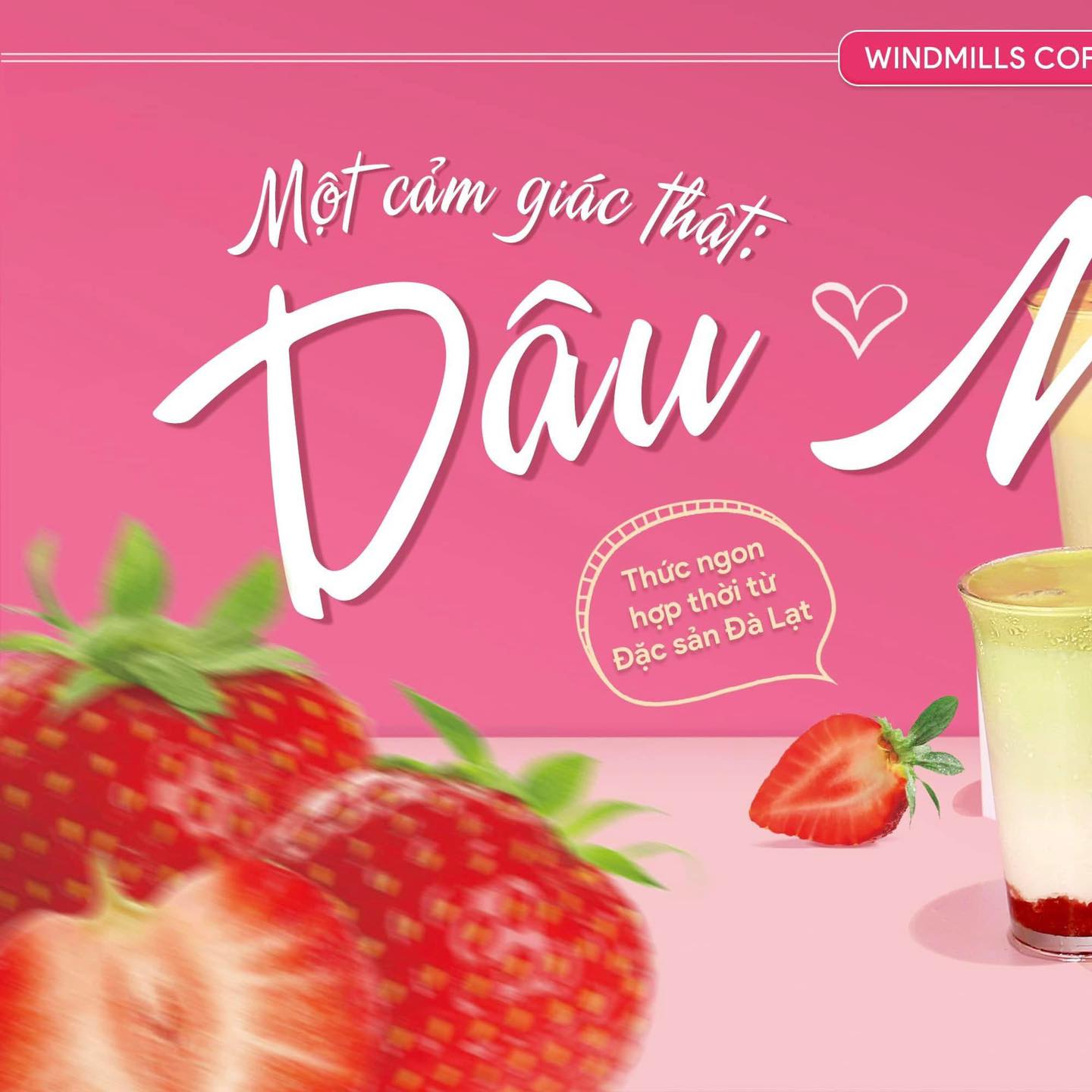 [☕️🇻🇳] Windmills Coffee Đà Lạt – Trà sữa Ly Chai 🥤 Top1Coffee ☕️ TẾT NÀY, NHẤT ĐỊNH PHẢI THỬ NGAY THỨC NGON HỢP THỜI TỪ ĐẶC SẢN ĐÀ LẠTHoà nhịp chung với không khí lễ hội, Windmills Coffee ch , shares-0✔️ , likes-2❤️️ , date-2025-01-11 22:00:23🇻🇳🇻🇳🇻🇳📰🆕