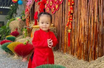 [???] Jun’s House – Chuyên quần áo cho trẻ em  ?‍?❤️️?⭐️ Áo dài tết lẻ vài sz rồi ạ
Nhanh tay mua cho em bé thui ạ#dotetchobetrai
#quanaotreem #setchobetrai #quanaobetrai𝓙𝓾𝓷’𝓼 𝓗𝓸𝓾𝓼𝓮
———————– , shares-1✔️ , likes-1❤️️ , date-2025-01-11 16:54:19????????