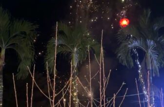 [🆕🇻🇳]  Nhung Nguyễn-Xưởng may đầm công chúa – Luôn cập nhật xu hướng thời trang mới nhất hít hót nhất 🧑‍🧒❤️️👶⭐️ Màn pháo hoa xưởng Nhung Nguyễn
, shares-0✔️ , likes-8❤️️ , date-2025-01-19 03:08:41🇻🇳🇻🇳🇻🇳📰🆕