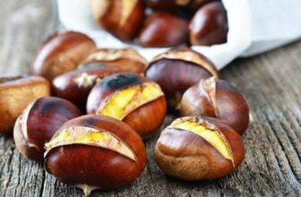 [🆕🇻🇳] Lefarms – Cửa hàng tiện lợi 🍔 Top1Food  🍜 𝐇𝐚̣𝐭 𝐝𝐞̉ 𝐍𝐡𝐚̣̂𝐭 𝐁𝐚̉𝐧 𝐭𝐡𝐨̛𝐦 𝐧𝐠𝐨𝐧, 𝐛𝐮̀𝐢, 𝐧𝐠𝐚̣̂𝐲
Nhật Bản được mệnh danh là xứ sở của hạt dẻ. Nhờ điều kiện khí hậu thuận lợi, kỹ thuật chăm sóc hiện đại, hạt , shares-0✔️ , likes-0❤️️ , date-2025-01-13 01:51:06🇻🇳🇻🇳🇻🇳📰🆕