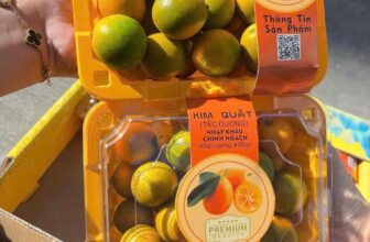 [🆕🇻🇳] F5 Fruit Shop Hồ Chí Minh-hệ thống bán lẻ Trái cây Nhập khẩu cao cấp 🍔 Top1Food  🍜 𝐊𝐢𝐦 𝐪𝐮𝐚̂́𝐭 Đ𝐚̀𝐢 𝐋𝐨𝐚𝐧 (𝐓𝐚̆́𝐜 đ𝐮̛𝐨̛̀𝐧𝐠 Đ𝐚̀𝐢 𝐥𝐨𝐚𝐧)
Giá bán: 55.000đ/Hộp 500Gram
Loại quả này có hình bầu dục, khi còn sống vỏ màu xanh và khi chín chuyển san , shares-1✔️ , likes-0❤️️ , date-2025-01-14 22:15:04🇻🇳🇻🇳🇻🇳📰🆕