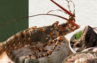 [🆕🇻🇳] ASHIMA MUSHROOM HOTPOT là chuỗi nhà hàng LẨU NẤM THIÊN NHIÊN 🍔 Top1Food 🍜 [HN] 𝑻𝒊𝒏𝒉 𝒉𝒐𝒂 𝒃𝒊𝒆̂̉𝒏 𝒄𝒂̉ 𝒕𝒓𝒐𝒏𝒈 𝒕𝒖̛̀𝒏𝒈 𝒏𝒐̂̀𝒊 𝒍𝒂̂̉𝒖 𝒏𝒂̂́𝒎Mùa xuân sang là thời khắc đất trời chuyển mình trong sự tươi mới, Ashima cũng mang đến một hành t , shares-2✔️ , likes-3❤️️ , date-2025-01-15 23:30:08🇻🇳🇻🇳🇻🇳📰🆕