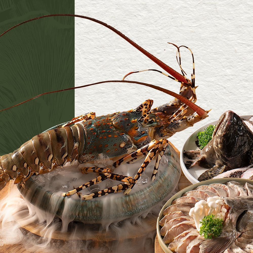 [👗🇻🇳] SIXDO is a fashion brand founded by fashion designer DOMANHCUONG 👕 Top1Fashion 👗 – 𝐕𝐄𝐋𝐕𝐄𝐓 𝐑𝐎𝐒𝐄 𝐒𝐇𝐀𝐃𝐄𝐒Nhung (velvet) là biểu tư …