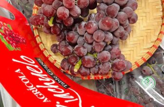 [🆕🇻🇳] Hoa Quả 4Mùa – Cửa hàng rau quả 🍔 Top1Food  🍜   NHO KẸO PERU RIACHUELO NGỌT THƠM NỨCNho cành cuống tươi chắc – NGUYÊN PHẤN – CỨNG QUẢ
LẺ #299k/ 1KGEM MỜI CẢ NHÀ#nhokeo
#nhokẹovải
#nho3 , shares-0✔️ , likes-0❤️️ , date-2025-01-13 16:39:52🇻🇳🇻🇳🇻🇳📰🆕