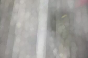 [🆕🇻🇳]  BB Mom & Kids – Shop Thời Trang Mẹ Và Bé 🧑‍🧒❤️️👶⭐️ Sét xinh cho bé diện tết các mẹ ơi đủ size cho bé từ 10-52kg
Combo 3 bộ miễn ship
Nhận hàng ktra thanh toán
ib e tư vấn
, shares-0✔️ , likes-2❤️️ , date-2025-01-17 05:36:12🇻🇳🇻🇳🇻🇳📰🆕