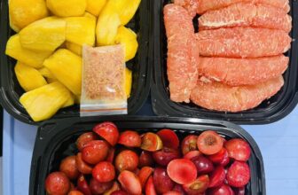 [🆕🇻🇳] Hương Thảo food and Fruits – Cửa hàng thực phẩm tự nhiên 🍔 Top1Food  🍜 HÔM NAY CHỦ NHẬT E NGHĨ SỚM KHÁCH NHA.
E NHẬN ĐƠN – 19H Ạ
HOẶC SAU 22H30 E GIAO…..
KHÁCH CẦN H GI E SỚM NHA
, shares-0✔️ , likes-0❤️️ , date-2025-01-12 23:01:37🇻🇳🇻🇳🇻🇳📰🆕