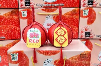 [🆕🇻🇳] Nhà AnAn – chuyên cung cấp rau củ quả hữu cơ, sạch, rõ nguồn gốc từ Đà Lạt 🍔 Top1Food  🍜 Mời nhà mình đi chợ Tết, mẹ An tổng lại menu các món để nhà mình dễ lựa nhé!
Thứ 3 (22 AL): giao set cúng ông Táo, đồ mặn/ mứt/trái cây (không bán rau củ) , shares-0✔️ , likes-3❤️️ , date-2025-01-15 04:41:21🇻🇳🇻🇳🇻🇳📰🆕