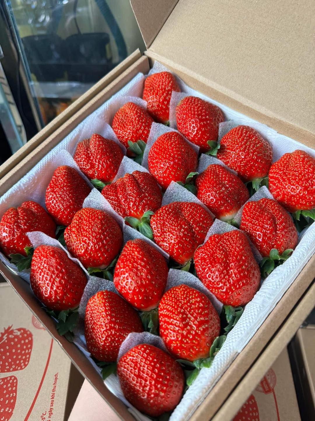 [🆕🇻🇳] BLOOM CAKE • 𝐓𝐡𝐞̂́ 𝐠𝐢𝐨̛́𝐢 𝐜𝐮̉𝐚 𝐧𝐡𝐮̛̃𝐧𝐠 𝐜𝐡𝐢𝐞̂́𝐜 𝐛𝐚́𝐧𝐡 𝐱𝐢𝐧𝐡 🍔 Top1Food  🍜  𝐋𝐈𝐕𝐄𝐒𝐓𝐑𝐄𝐀𝐌 – 𝐐𝐮𝐚𝐲 𝐬𝐨̂́ 𝐭𝐫𝐮́𝐧𝐠 𝐭𝐡𝐮̛𝐨̛̉𝐧𝐠Cả nhà ơi, đừng bỏ lỡ cơ hội tham gia bốc thăm trúng thưởng hấp dẫn từ Bloom Cake nhé!Hãy đảm bảo bạn đã hoà , shares-0✔️ , likes-2❤️️ , date-2025-01-13 22:06:52🇻🇳🇻🇳🇻🇳📰🆕