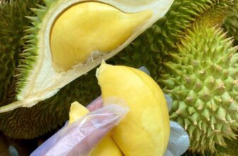 [🆕🇻🇳] Nhà AnAn – chuyên cung cấp rau củ quả hữu cơ, sạch, rõ nguồn gốc từ Đà Lạt 🍔 Top1Food  🍜 Có món mới, món còn, nên mai #NhàAn còn:
Mai Nhà An còn:
Mai có cơm sầu 6 hữu nữa nhà mình nha, giá 6H nay mềm hơn musaking mà độ ngon không kém ạ. Cơm sầ , shares-0✔️ , likes-7❤️️ , date-2025-01-17 02:15:46🇻🇳🇻🇳🇻🇳📰🆕