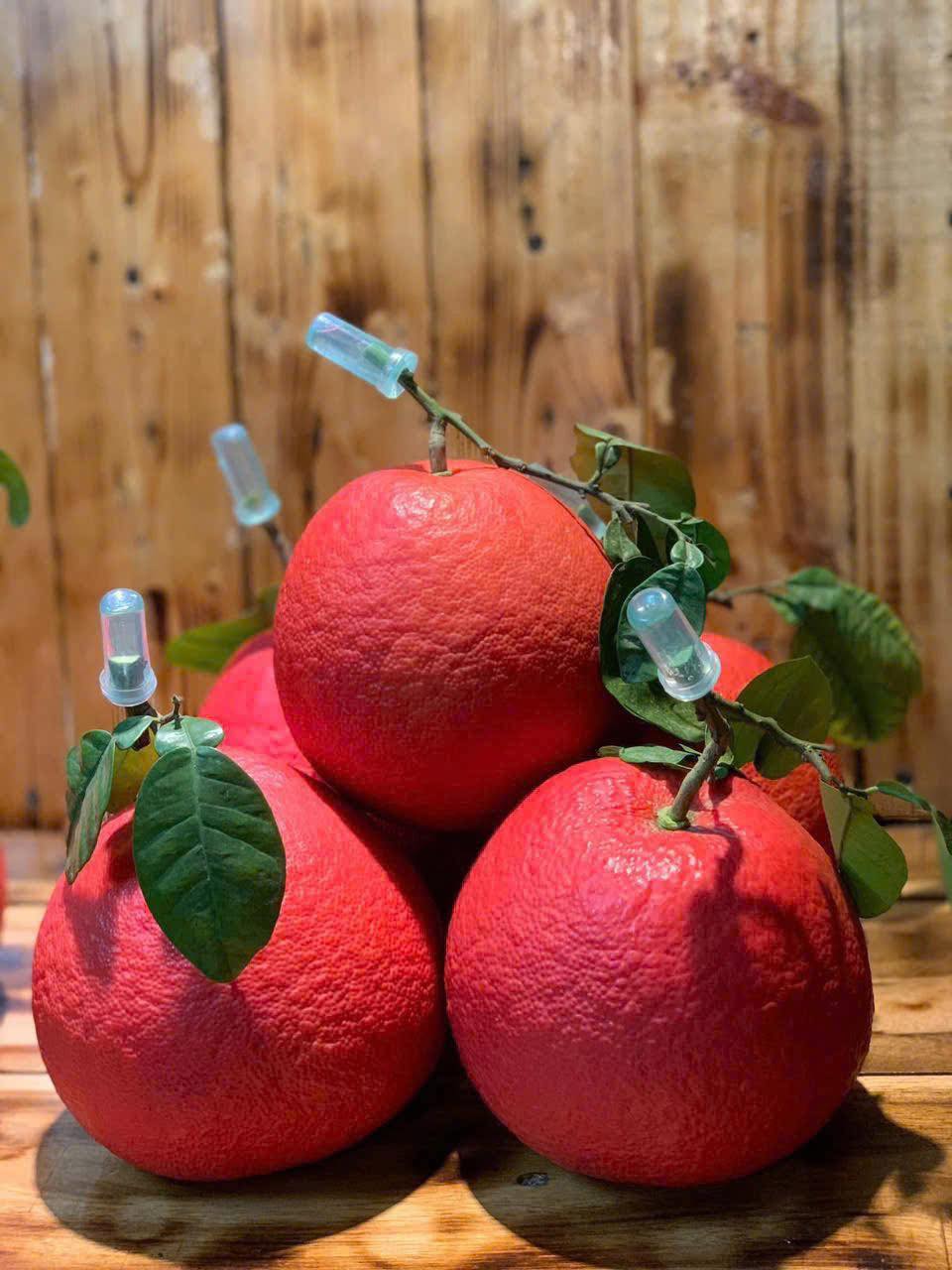 [???] Bé Ốc Tiêu – Đồ cho bé tuyển chọn ?‍?❤️️?⭐️ [ HÀNG MỚI VỀ]
Tầm 20 âm là bên em ngưng nhận COD nhé ạ.
Mom nào  còn lăn tăn chưa biết chọn mẫu nào thì ib em gửi mẫu tư vấn nhiệt tình nha.Hàng bao đẹ , shares-0✔️ , likes-3❤️️ , date-2025-01-15 01:03:16????????