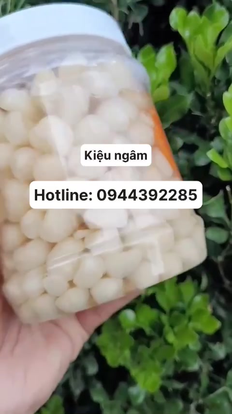 [🆕🇻🇳] Đặc sản châu đốc NGỌC TRÂN 🍔 Top1Food 🍜 Kiệu ngâm là một món ăn không thể thiếu trong mâm cơm ngày Tết của người Việt. Để có một hủ kiệu ngâm ngon, giòn và chua ngọt đúng điệu hãy nhanh tay đặt l , shares-0✔️ , likes-1❤️️ , date-2025-01-17 19:46:23🇻🇳🇻🇳🇻🇳📰🆕