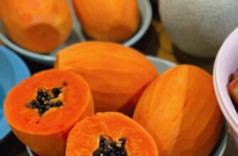 [🆕🇻🇳] Nông Sản Bảo Lâm HCM – Chợ nông sản 🍔 Top1Food  🍜 Đu Đủ Ruột Đỏ chín cây.
Siêu ngọt – ngọt lịm con tim luôn ce nha
#39k/1kg
#đuđủruộtđỏ bao ngon nha
Đu đủ Của hợp tác xã lục ngạn xanh . trồng theo tiêu  , shares-0✔️ , likes-5❤️️ , date-2025-01-17 16:27:39🇻🇳🇻🇳🇻🇳📰🆕