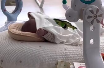 [🆕🇻🇳] Dailybebe-store -Baby & Mom – Đồ dùng mẹ và bé – đồ chơi cao cấp Korea , Us/Uk Chính Hãng🧑‍🧒❤️️👶⭐️ 𝑲𝒊́𝒄𝒉 𝒕𝒉𝒊́𝒄𝒉 𝒔𝒖̛̣ 𝒑𝒉𝒂́𝒕 𝒕𝒓𝒊𝒆̂̉𝒏 𝒕𝒐𝒂̀𝒏 𝒅𝒊𝒆̣̂𝒏 𝒕𝒖̛̀ 𝒕𝒓𝒊́ 𝒏𝒂̃𝒐 đ𝒆̂́𝒏 𝒕𝒉𝒆̂̉ 𝒄𝒉𝒂̂́𝒕 𝒄𝒉𝒊̉ 𝒗𝒐̛́𝒊 1 𝒃𝒐̣̂ đ𝒐̂̀ 𝒄𝒉𝒐̛𝒊 𝒕𝒓𝒆𝒐 𝒏𝒐̂𝒊 𝒄𝒖̃𝒊 𝑻𝒊𝒏𝒚 𝑳𝒐𝒗𝒆 𝑴𝒆𝒂𝒅𝒐𝒘 𝑫𝒂𝒚𝒔
Đồ chơi tr , shares-0✔️ , likes-2❤️️ , date-2025-01-17 23:37:36🇻🇳🇻🇳🇻🇳📰🆕