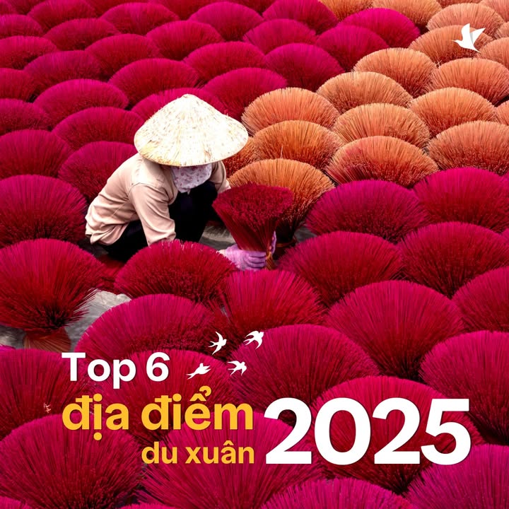 [✈🇻🇳] Traveloka Vietnam – Sống Trải Nghiệm ✈ Top1Travel 🌏 – Tết này bạn có dự định đi đâu chưa?Tết này được nghỉ tới 9 ngày  …