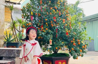 [🆕🇻🇳] L’AMME – THỜI TRANG THIẾT KẾ & PHỤ KIỆN BẦU QUỐC DÂN 👕 Top1Fashion 👗   Cây quất vàng, Tết ghé sân,
Lan Chi áo thắm, xinh xinh dáng hồng.L’AMME thích nhất là nhận được những tấm hình feedback của các thiên thần nhí trong tà  , shares-0✔️ , likes-27❤️️ , date-2025-01-24 21:56:20🇻🇳🇻🇳🇻🇳📰🆕