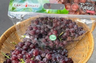 [🆕🇻🇳] Vườn Dâu Nhà Mớm – Based in Saigon 🍔 Top1Food  🍜  NHO KẸO PERU EM VỪA ĐÁP NGỌT NGỌT – THƠM MÙI KẸO TRÁI CÂY300K/ KGNho kẹo ngọt ngọt chua chua, thịt dẻo dẻo, lớp vỏ ăn sần sật
Thay vì cho các bé ăn , shares-0✔️ , likes-0❤️️ , date-2025-01-17 20:27:22🇻🇳🇻🇳🇻🇳📰🆕