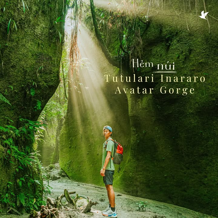 [✈🇻🇳] Traveloka Vietnam – Sống Trải Nghiệm ✈ Top1Travel 🌏 – Hẻm núi Tutulari Inararo Avatar Gorge-  huyền ảo tựa cổ tích 🍃📸Traveloka ‘l …