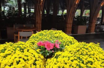 [🆕🇻🇳] QK Complex – Nhà hàng – Event – Bar Cafe – Spa 🍔 Top1Food  🍜 Không khí tết đã về đến nhà QK Complex———–
𝑸𝑲 𝑪𝑨𝑭𝑬́ & 𝑹𝑬𝑺𝑻𝑨𝑼𝑹𝑨𝑵𝑻
Mở cửa: 07:00-23:00
Địa chỉ: số 1, Nguyễn Văn Trỗi, Đồng Hải, Đồng Hới, Quảng B , shares-1✔️ , likes-11❤️️ , date-2025-01-19 04:08:16🇻🇳🇻🇳🇻🇳📰🆕