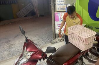 [🆕🇻🇳]  PHÚC KHANG BABY HOUSE – Chuyên thời trang trẻ em xuất khẩu, tã, sữa, combo đi sinh, phụ kiện cho bé 🧑‍🧒❤️️👶⭐️ Cuối năm rồi chuẩn bị combo đi sinh đi các Mom ơi, ăn TET xong rồi chờ sinh ạ
Không việc gì khó, chỉ cần là có em lo hết ạQuý khách hàng ib or để lại bìn , shares-1✔️ , likes-4❤️️ , date-2025-01-19 19:42:57🇻🇳🇻🇳🇻🇳📰🆕