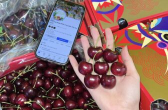 [🆕🇻🇳] Trái Cây Nhập Khẩu Tuy Hoà-Phú An Food 🍔 Top1Food  🍜 Cherry Vip hàng chuẩn hộp xách 2.5kg  căng bóng mướt
Sz to siêu tươi giòn ngọt nha cả nhà ơi
Hàng e vừa đáp tại cửa hàng mời cả nhà ghé shop mua ạ . Bên  , shares-0✔️ , likes-3❤️️ , date-2025-01-22 19:52:45🇻🇳🇻🇳🇻🇳📰🆕